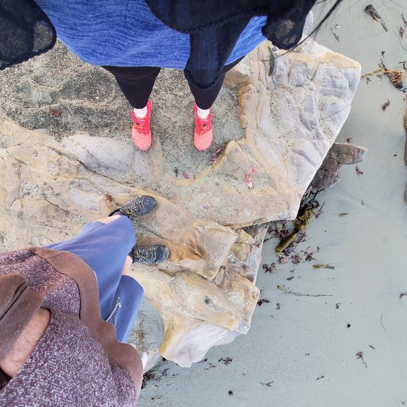 🐦Meet your Posher, Robin🐦 - Picture 11 of 12